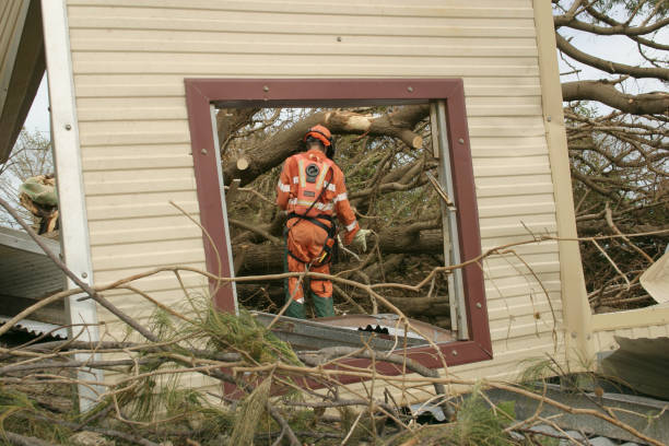 Best Tree Health Inspection  in Manchester, PA